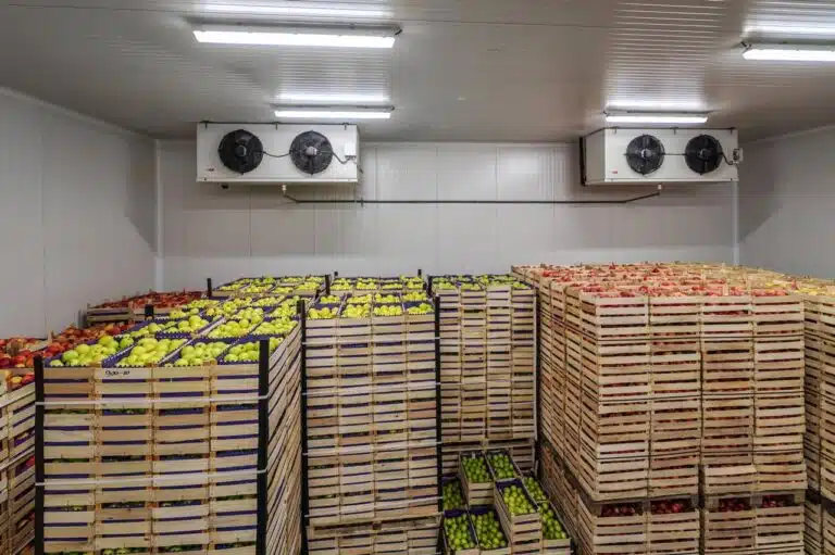 Temperatura de Alimentos